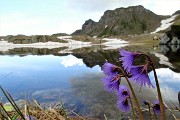 Anello Laghi di Ponteranica-Monte Avaro dai Piani il 10 giugno 2018